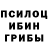 Галлюциногенные грибы Psilocybine cubensis Brandon Ridderhof