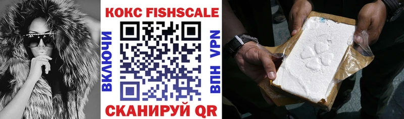 блэк спрут рабочий сайт что такое Мензелинск Кокаин Fish Scale
